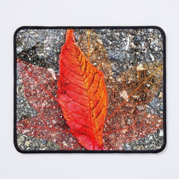 Item preview, Red autumn leaf designed and sold by AnnabellaRh.