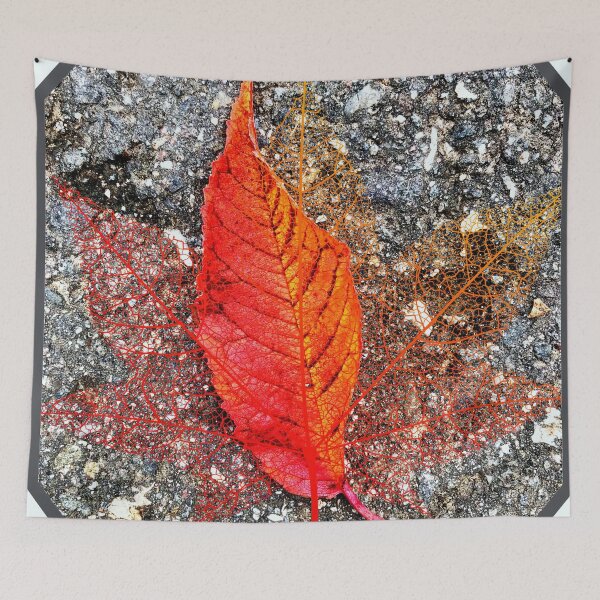 Item preview, Red autumn leaf designed and sold by AnnabellaRh.