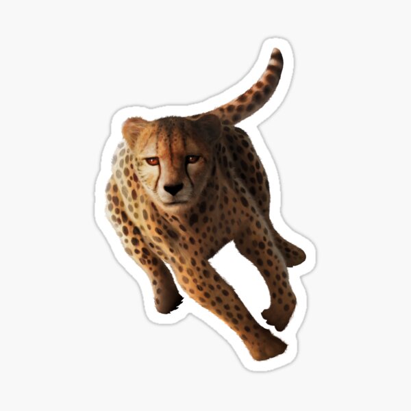 Cheetah Sticker