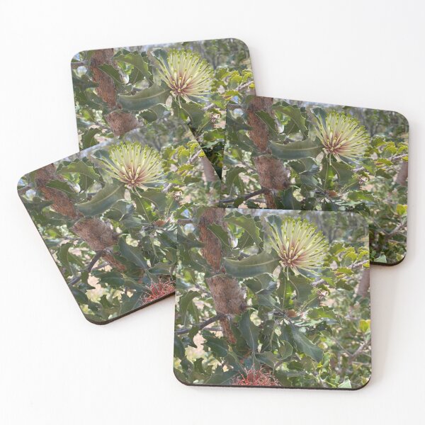 Item preview, parrot bush designed and sold by Lanie B Meyer.