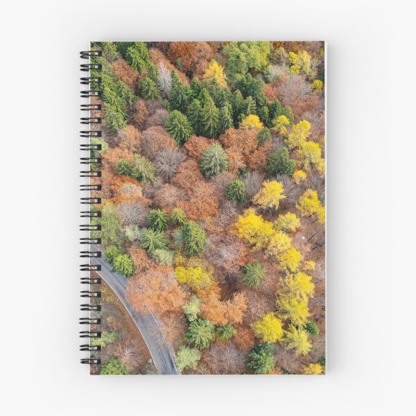 Item preview, Autumn trees from the top designed and sold by pietrofoto.