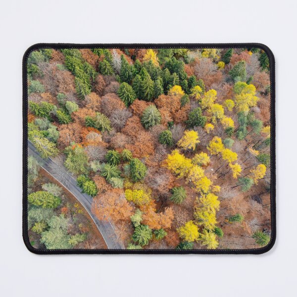 Item preview, Autumn trees from the top designed and sold by pietrofoto.