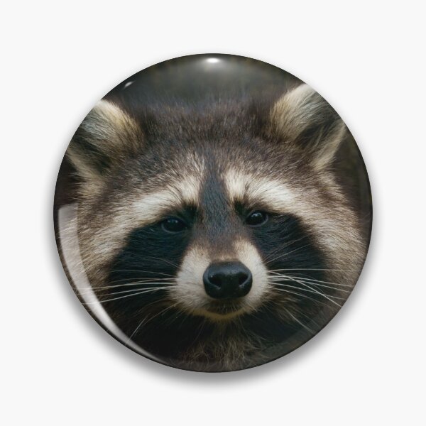 Item preview, Raccoon Portrait designed and sold by rawshutterbug.