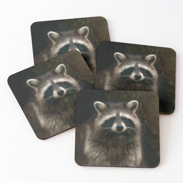 Item preview, Raccoon Portrait designed and sold by rawshutterbug.