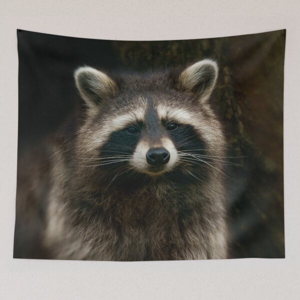 Item preview, Raccoon Portrait designed and sold by rawshutterbug.