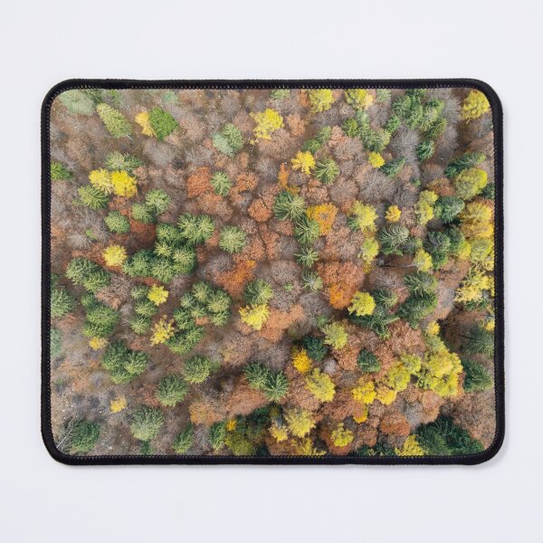 Item preview, Autumn trees from the top designed and sold by pietrofoto.