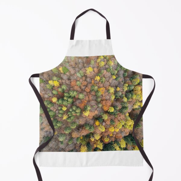Item preview, Autumn trees from the top designed and sold by pietrofoto.