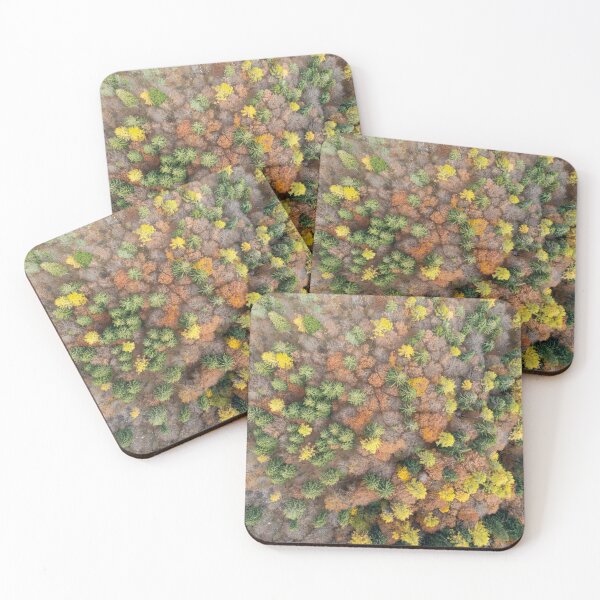 Item preview, Autumn trees from the top designed and sold by pietrofoto.