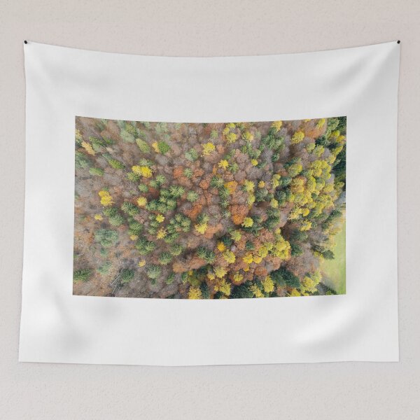 Item preview, Autumn trees from the top designed and sold by pietrofoto.