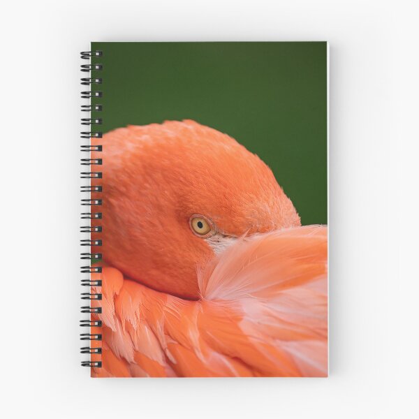 Item preview, The eye of the flamingo designed and sold by Ingo Gerlach.