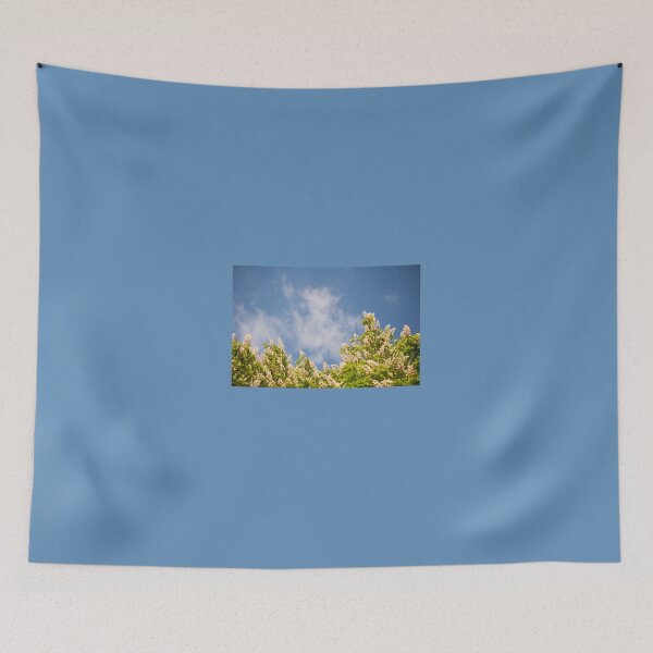 Item preview, Blossoming Aesculus tree on blue sky designed and sold by Arletta Cwalina.