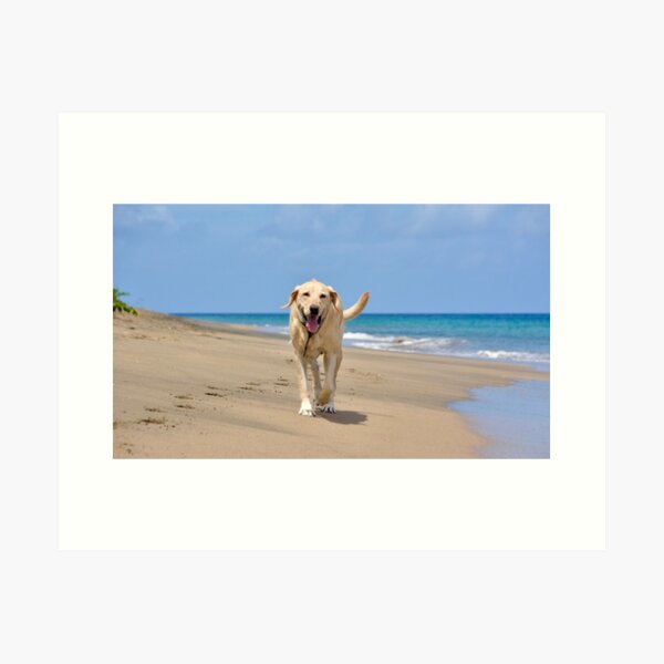 Item preview, The happiest dog designed and sold by WanderingJane.