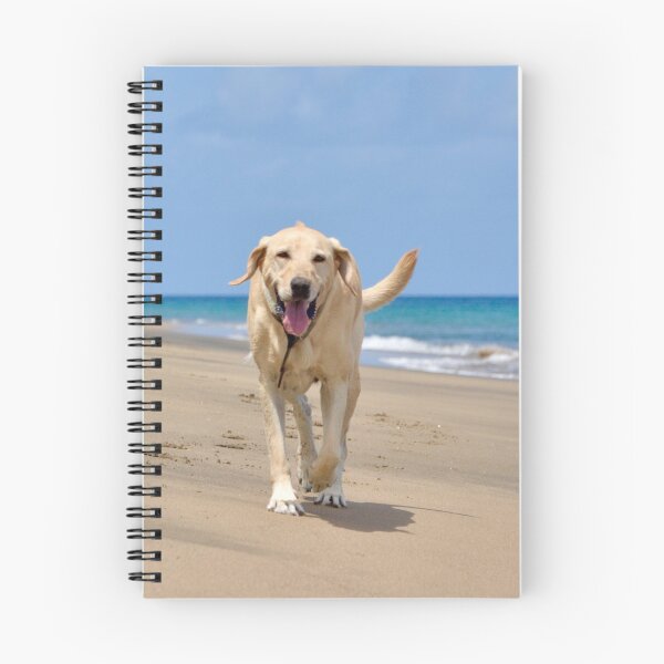Aperçu de l'œuvre Le chien le plus heureux créée et vendue par WanderingJane.