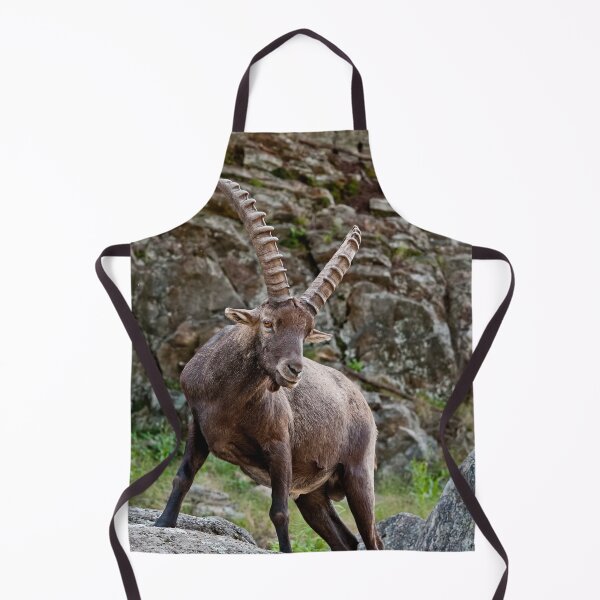 Item preview, Ibex designed and sold by Michael Cummings.