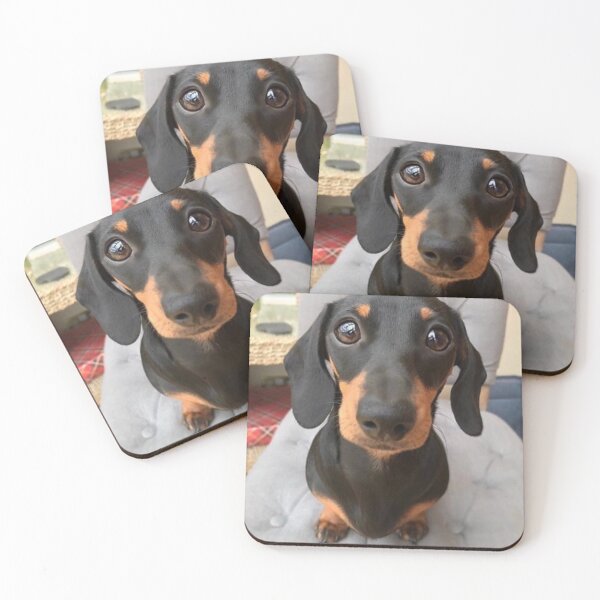 Item preview, Dachshund Dog photo portrait sweet puppy designed and sold by Coolstuff4you71.