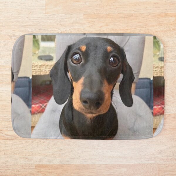 Artikelvorschau, Dackel Hund Fotoportrait süßer Welpe entworfen und verkauft von Coolstuff4you71.
