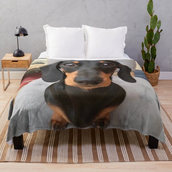 Dachshund Cute Funny Quilt Fleece Blanket 