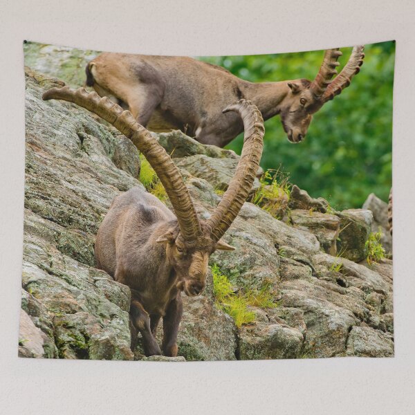 Item preview, Ibex On Rocks designed and sold by Michael Cummings.