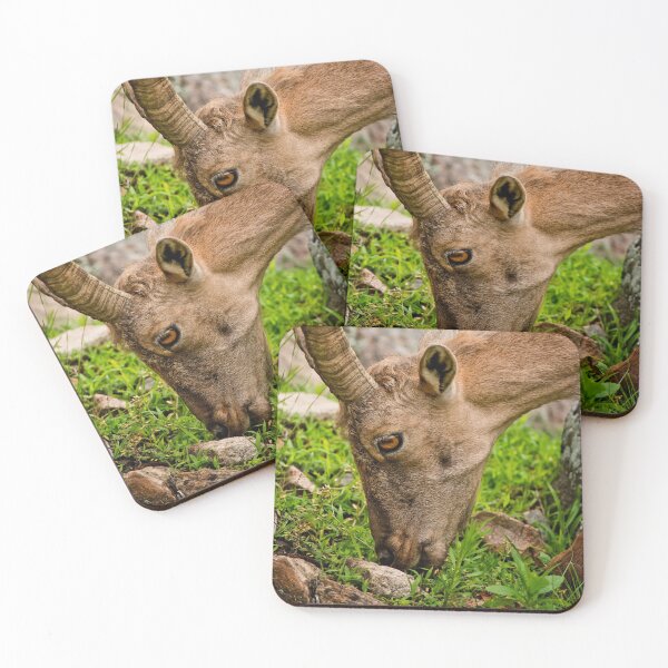 Item preview, Ibex designed and sold by Michael Cummings.