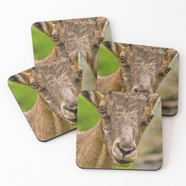 Item preview, Ibex designed and sold by Michael Cummings.
