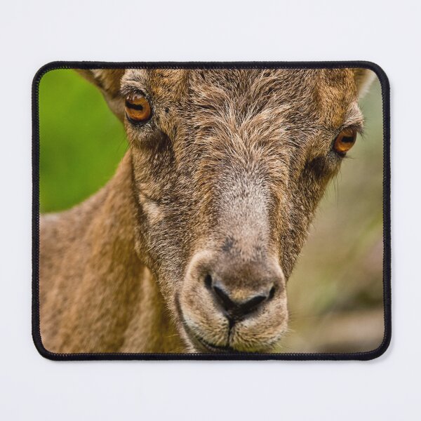 Item preview, Ibex designed and sold by Michael Cummings.