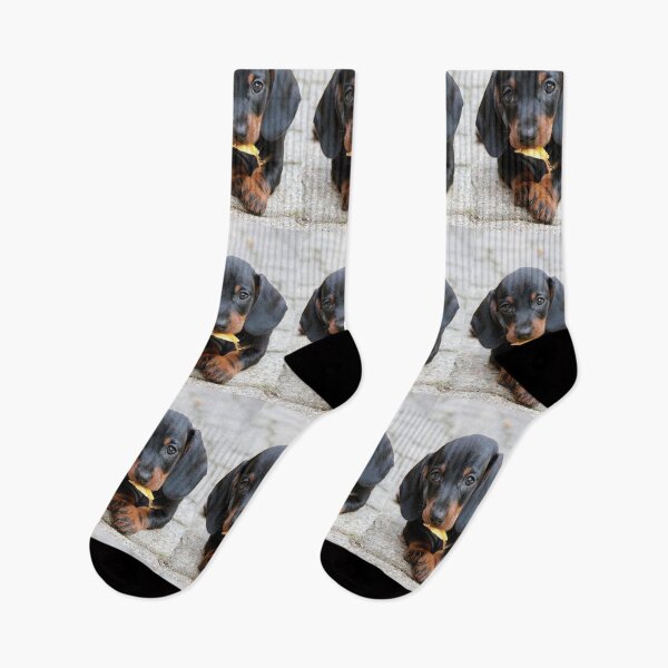 Artikelvorschau, Dackel Hund Fotoportrait süßer Welpe entworfen und verkauft von Coolstuff4you71.