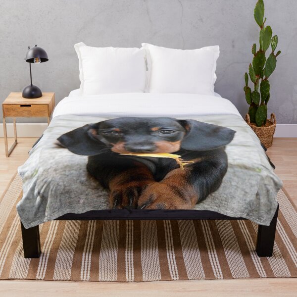 Item preview, Dachshund Perro foto retrato dulce cachorro designed and sold by Coolstuff4you71.