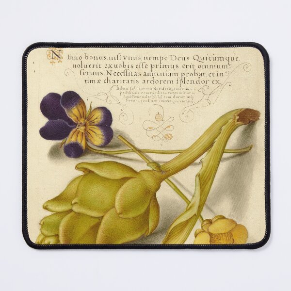 Item preview, Naturalist Manuscript: Artichoke, Pansy, and Calligraphy Illumination by Joris Hoefnagel designed and sold by Naturalist Prints.