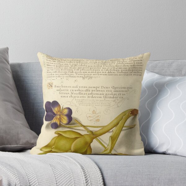 Item preview, Naturalist Manuscript: Artichoke, Pansy, and Calligraphy Illumination by Joris Hoefnagel designed and sold by Naturalist Prints.