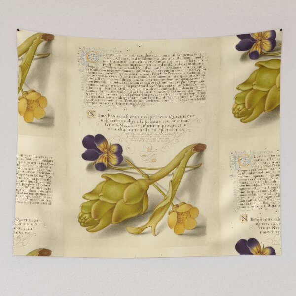 Item preview, Naturalist Manuscript: Artichoke, Pansy, and Calligraphy Illumination by Joris Hoefnagel designed and sold by Naturalist Prints.