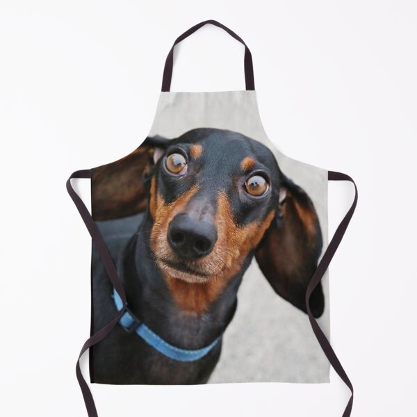 Item preview, Dachshund Dog photo portrait sweet funny puppy designed and sold by Coolstuff4you71.