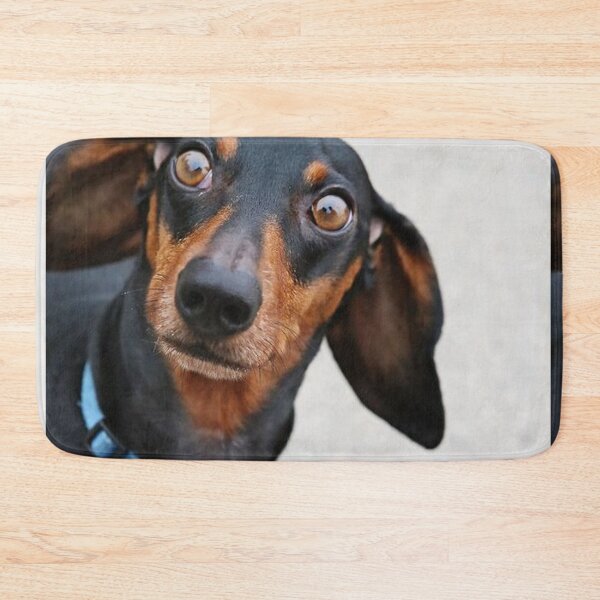 Item preview, Dachshund Dog photo portrait sweet funny puppy designed and sold by Coolstuff4you71.