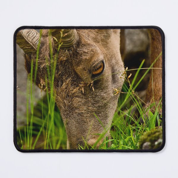 Item preview, Ibex designed and sold by Michael Cummings.