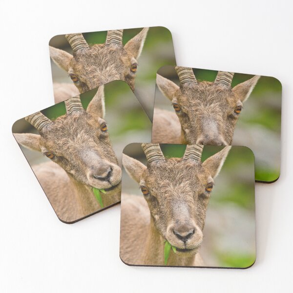 Item preview, Ibex designed and sold by Michael Cummings.