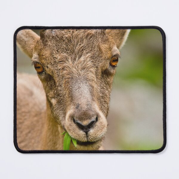 Item preview, Ibex designed and sold by Michael Cummings.