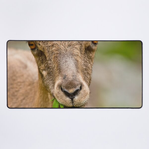 Item preview, Ibex designed and sold by Michael Cummings.