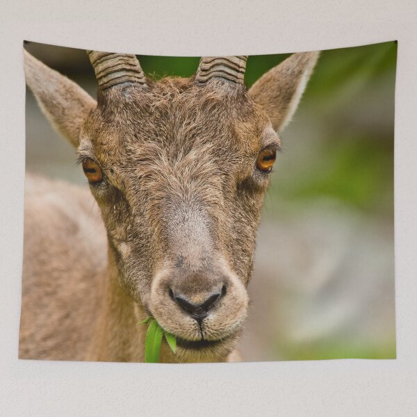 Item preview, Ibex designed and sold by Michael Cummings.