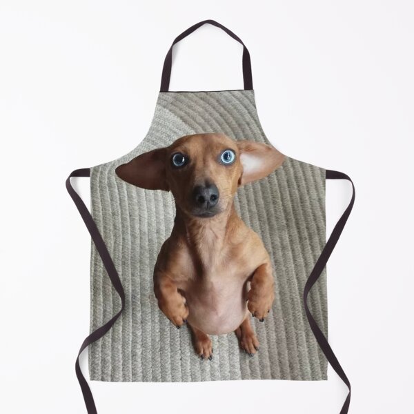 Item preview, Dachshund Dog photo portrait sweet funny puppy designed and sold by Coolstuff4you71.