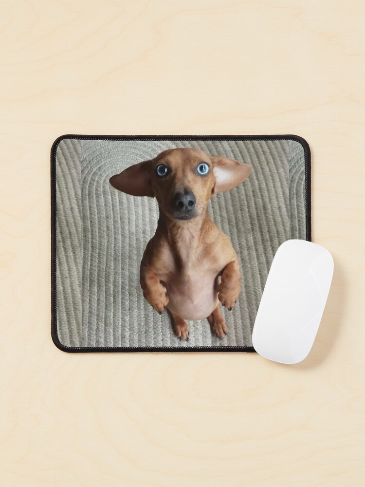 Dachshund Puppies Mouse Pad, Mousepad (Dogs Mouse Pad)