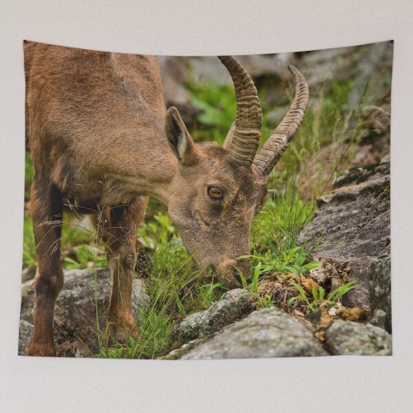 Item preview, Ibex designed and sold by Michael Cummings.