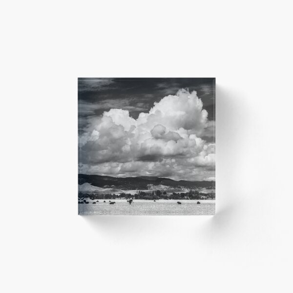 Colorado Cattle Ranch In Black and White Acrylic Block