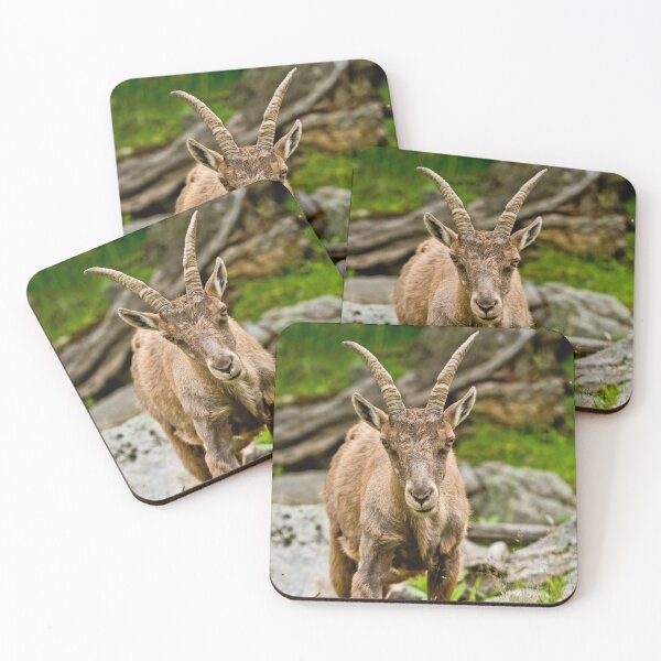 Item preview, Baby Ibex designed and sold by Michael Cummings.