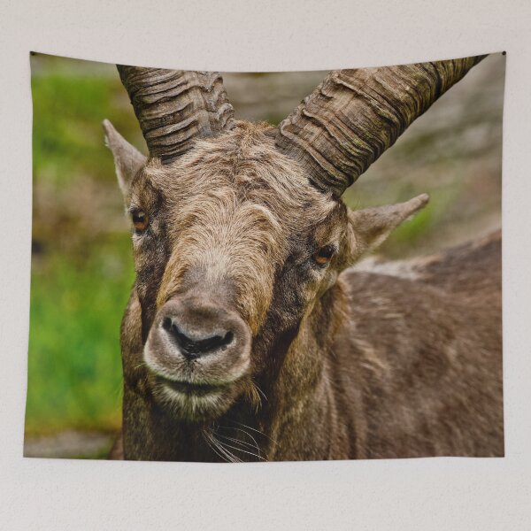 Item preview, Ibex designed and sold by Michael Cummings.