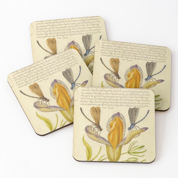 Item preview, Naturalist Manuscript: Insects, Flower, and Calligraphy Illumination by Joris Hoefnagel designed and sold by Naturalist Prints.