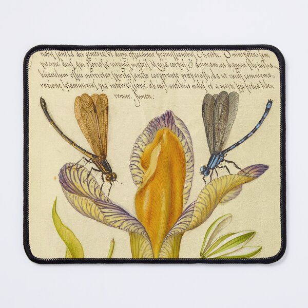 Item preview, Naturalist Manuscript: Insects, Flower, and Calligraphy Illumination by Joris Hoefnagel designed and sold by Naturalist Prints.