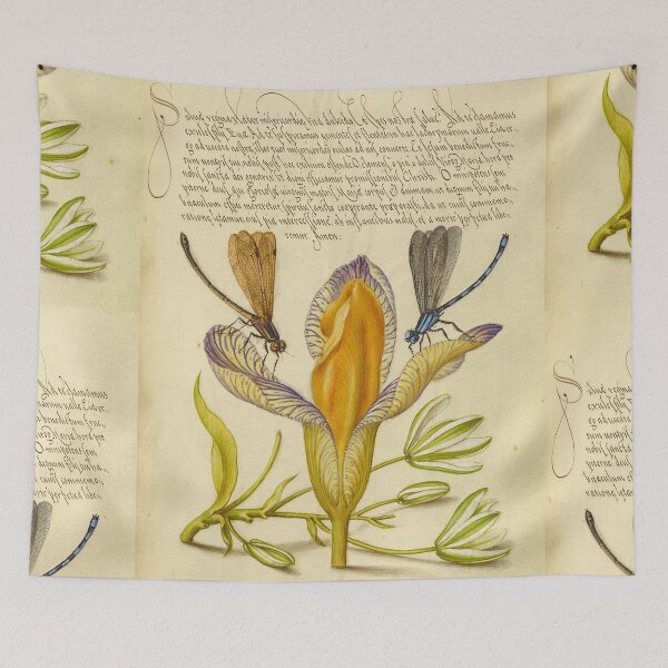 Item preview, Naturalist Manuscript: Insects, Flower, and Calligraphy Illumination by Joris Hoefnagel designed and sold by Naturalist Prints.