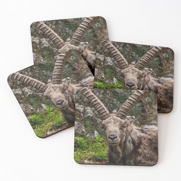 Item preview, Ibex designed and sold by Michael Cummings.