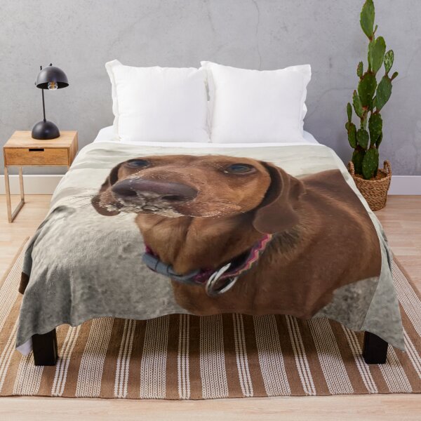 Item preview, Dachshund Dog photo portrait sweet funny puppy beach designed and sold by Coolstuff4you71.