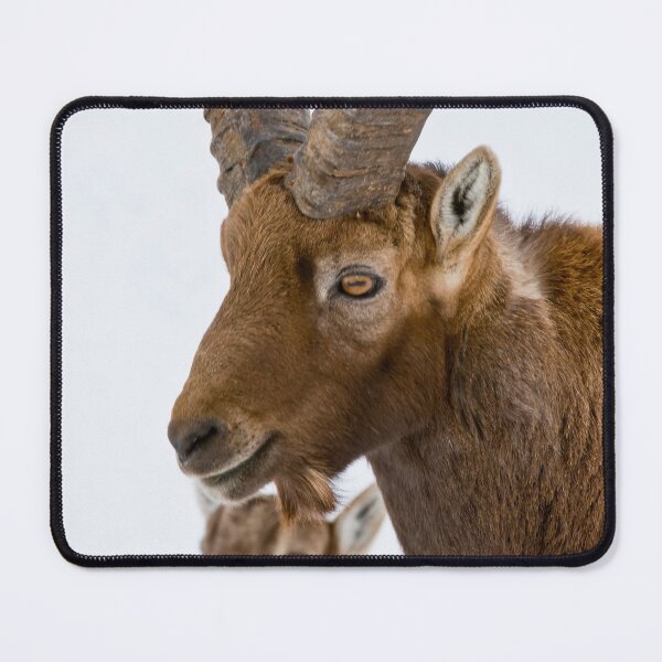 Item preview, Ibex designed and sold by Michael Cummings.