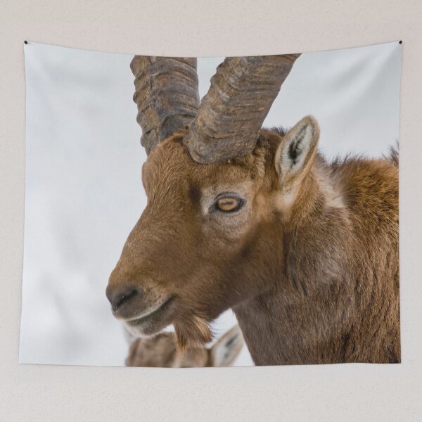 Item preview, Ibex designed and sold by Michael Cummings.